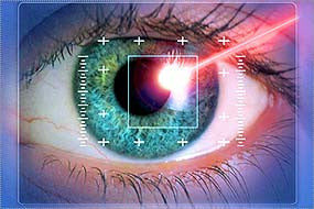 14. IT Assessment - Biometric Systems