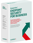 Kaspersky Endpoint Security for Business 1 year